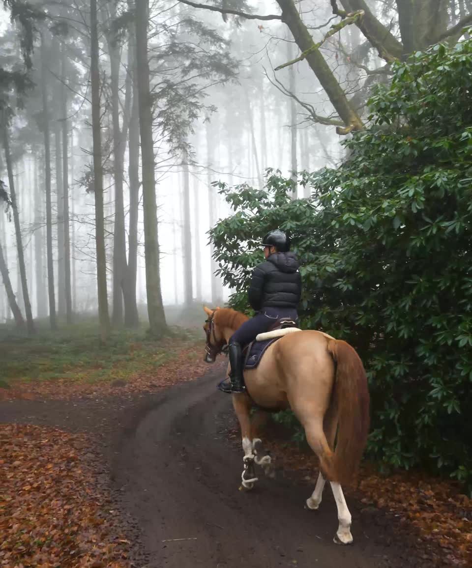 Reiterin im nebligen Wald
