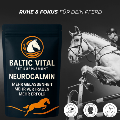 Neurocalmin