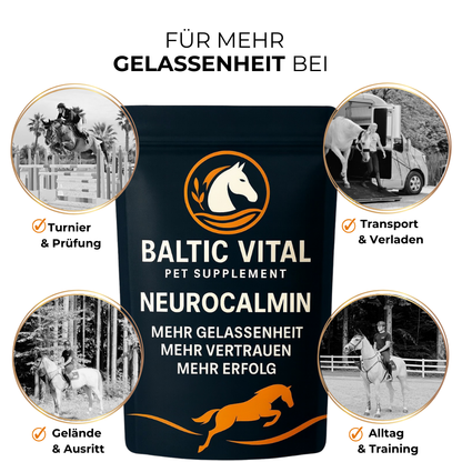 Neurocalmin